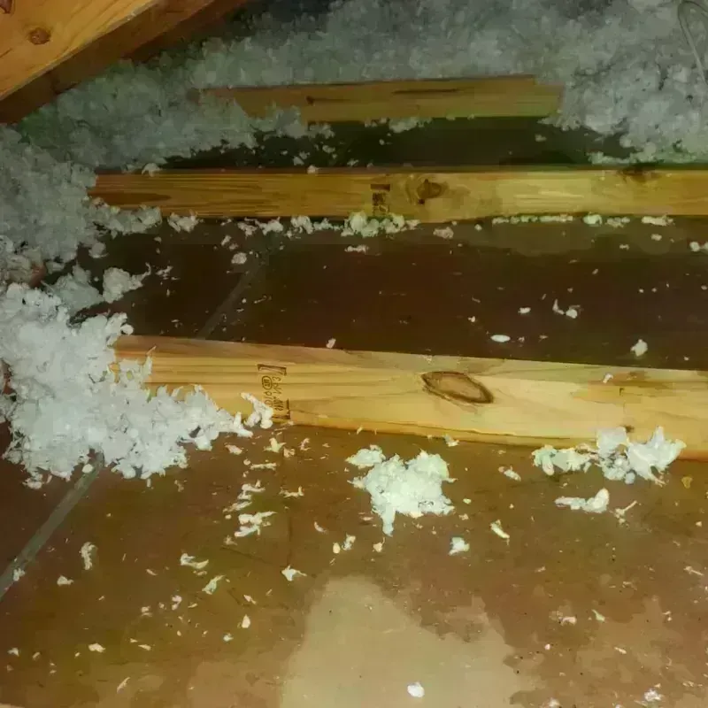 Attic Water Damage in Anthony, NM