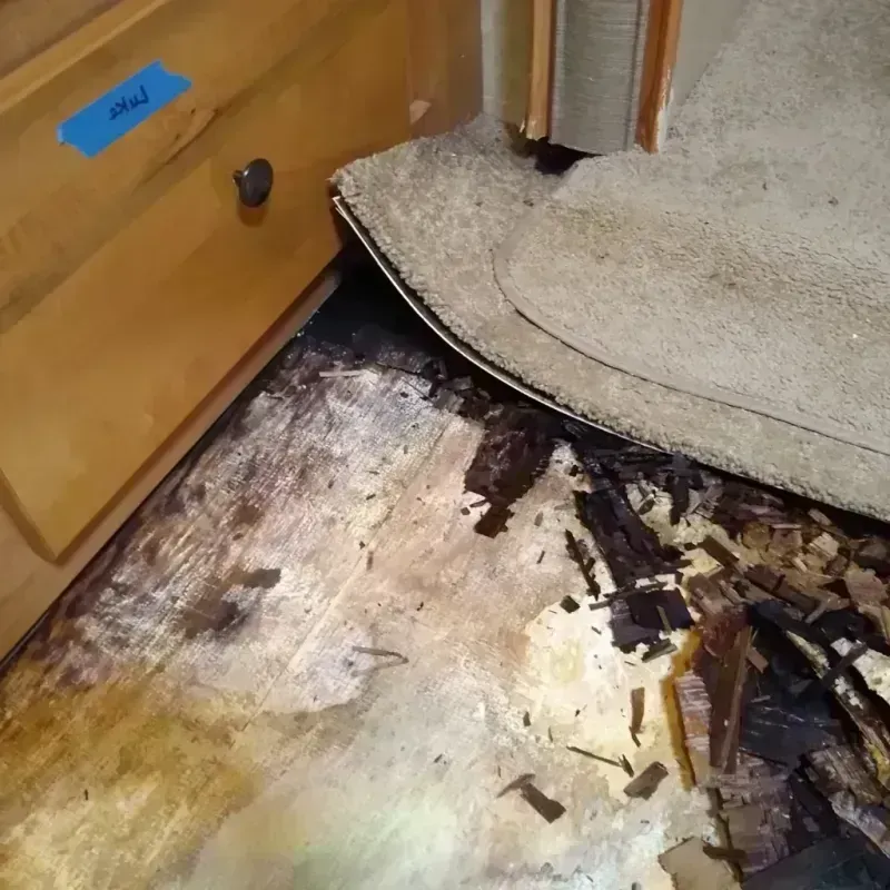 Wood Floor Water Damage in Anthony, NM